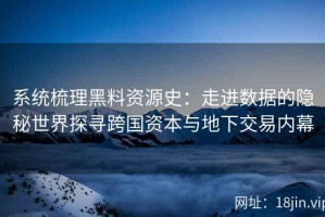 系统梳理黑料资源史：走进数据的隐秘世界探寻跨国资本与地下交易内幕