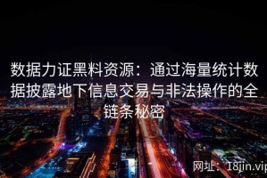 数据力证黑料资源：通过海量统计数据披露地下信息交易与非法操作的全链条秘密