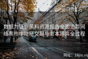 数据为证：黑料资源报告全面追踪网络黑市中隐秘交易与资本博弈全过程