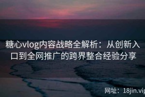 糖心vlog内容战略全解析：从创新入口到全网推广的跨界整合经验分享