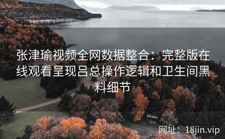 张津瑜视频全网数据整合：完整版在线观看呈现吕总操作逻辑和卫生间黑料细节