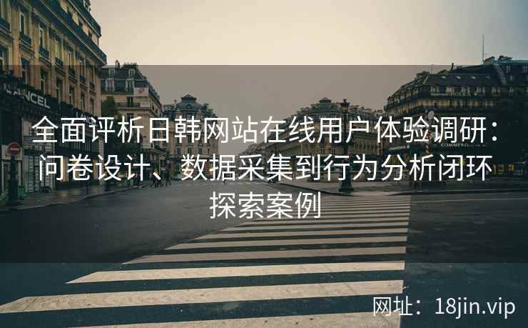 全面评析日韩网站在线用户体验调研：问卷设计、数据采集到行为分析闭环探索案例